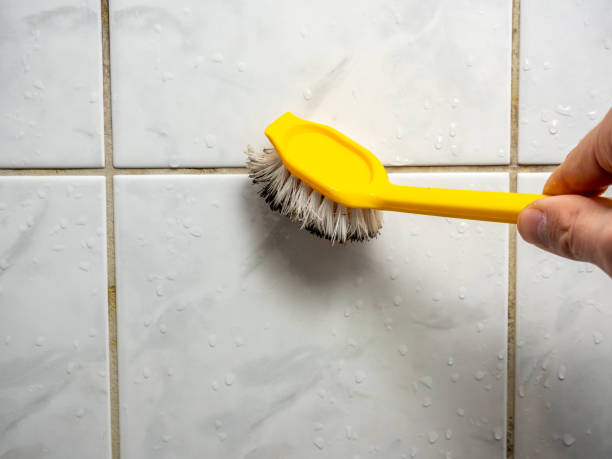 Best Localized Mold Remediation (e.g., coastal areas, humid climates) in Charlotte Harbor, FL